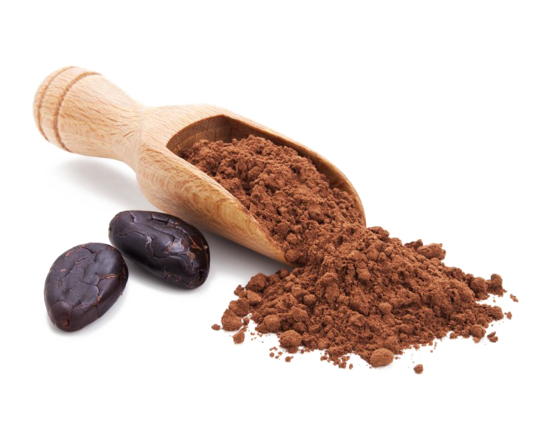 Cocoa Beans Transparent Background PNG, SVG Clip art for Web - Download