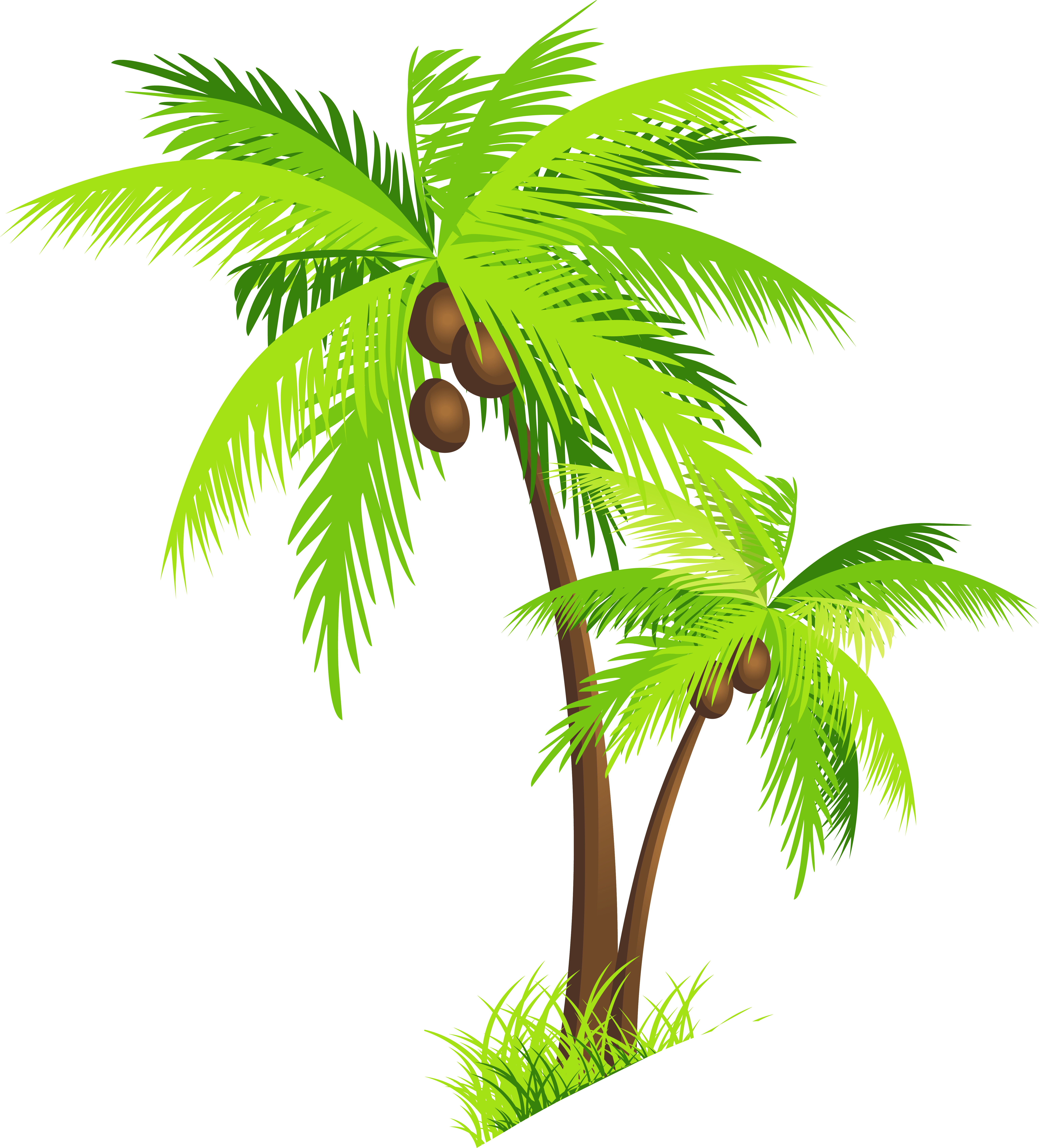 Coconut Tree PNG Clipart SVG Clip arts