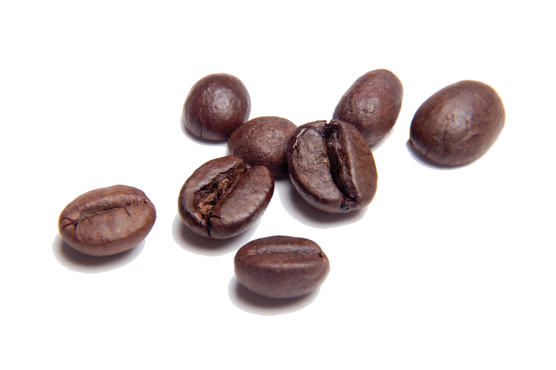 Free Free 225 Coffee Beans Vector Svg SVG PNG EPS DXF File