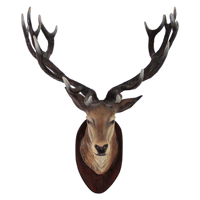 Download Deer Head Transparent PNG PNG, SVG Clip art for Web ...