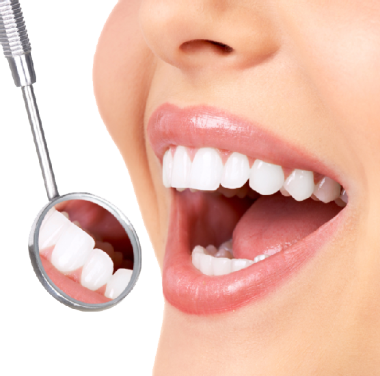 Dentist Smile Transparent Background SVG Clip arts
