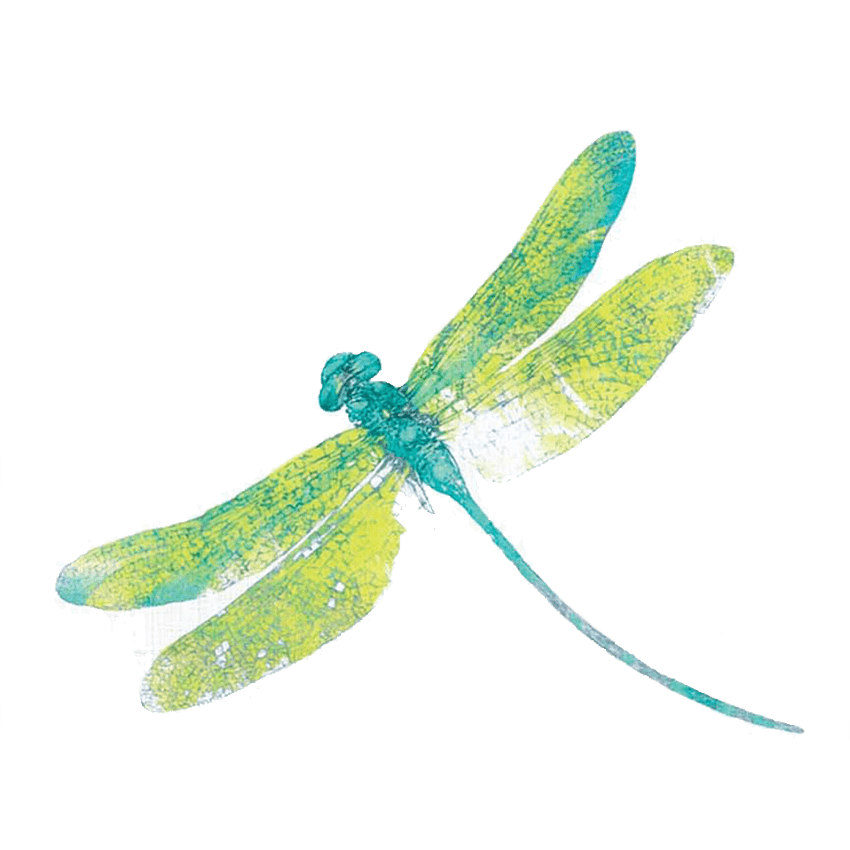 Dragonfly PNG Free Download PNG, SVG Clip art for Web - Download Clip