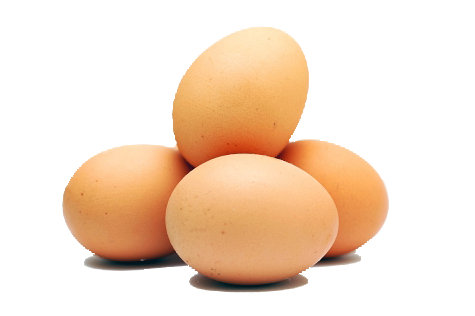 Eggs PNG Clipart SVG Clip arts