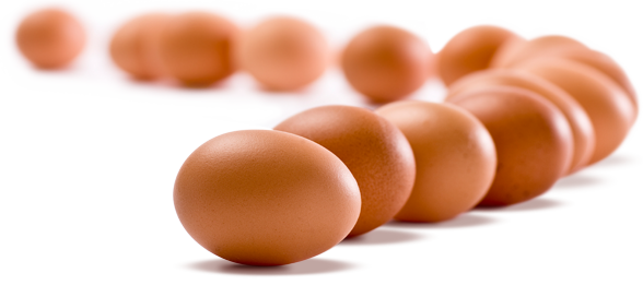 Eggs PNG HD SVG Clip arts