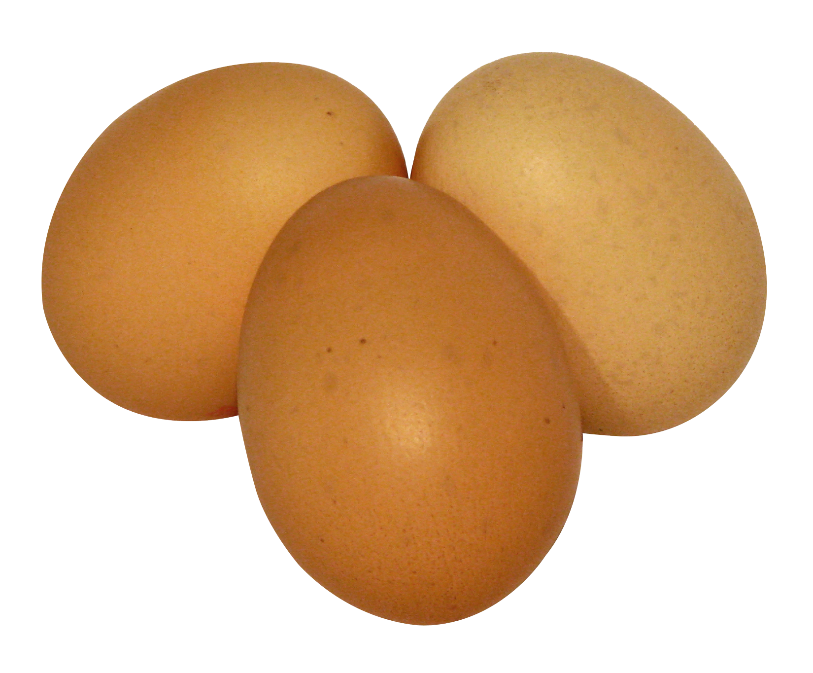 Eggs PNG Transparent Picture SVG Clip arts