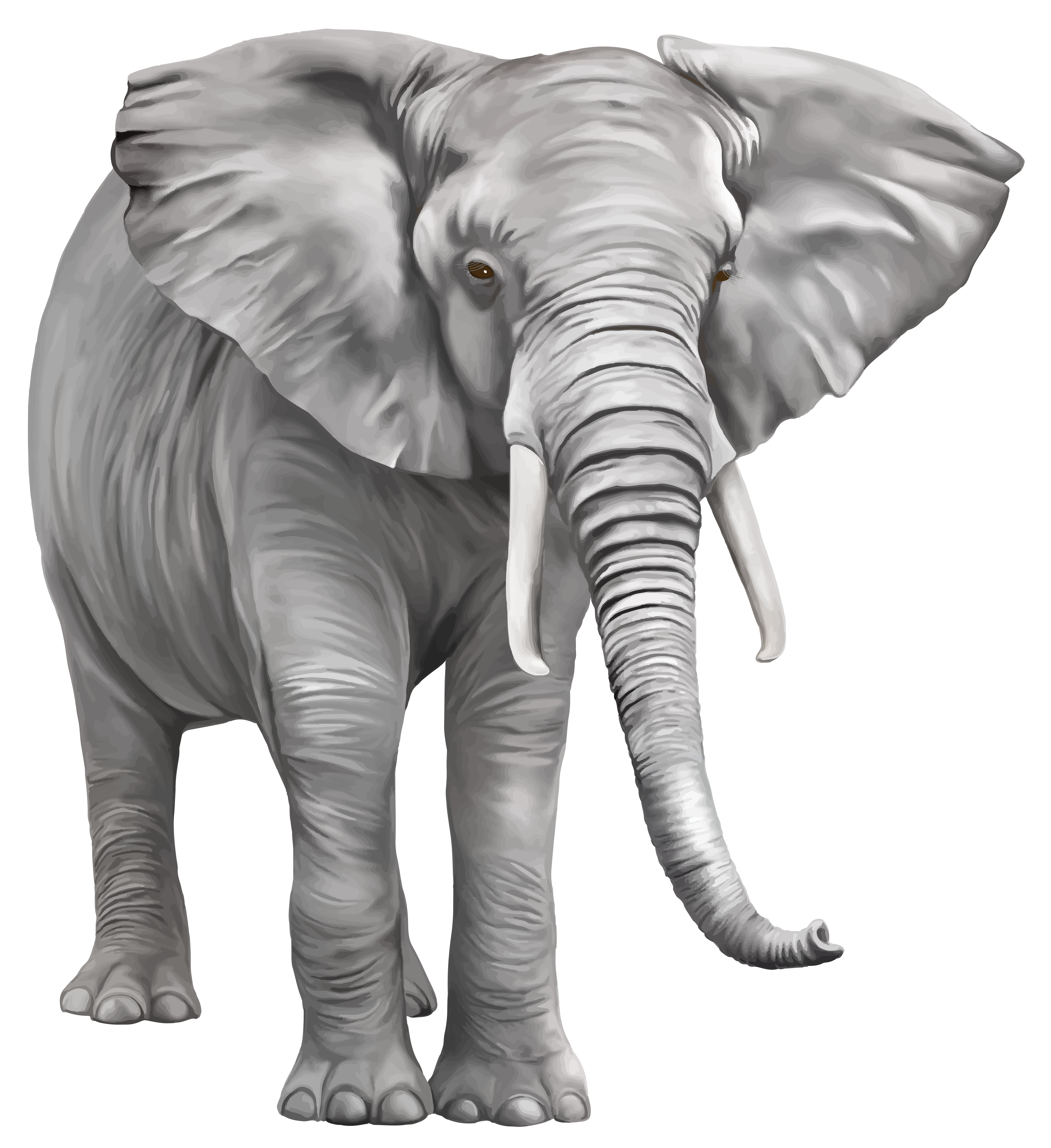 Elephant PNG Free Download SVG Clip arts