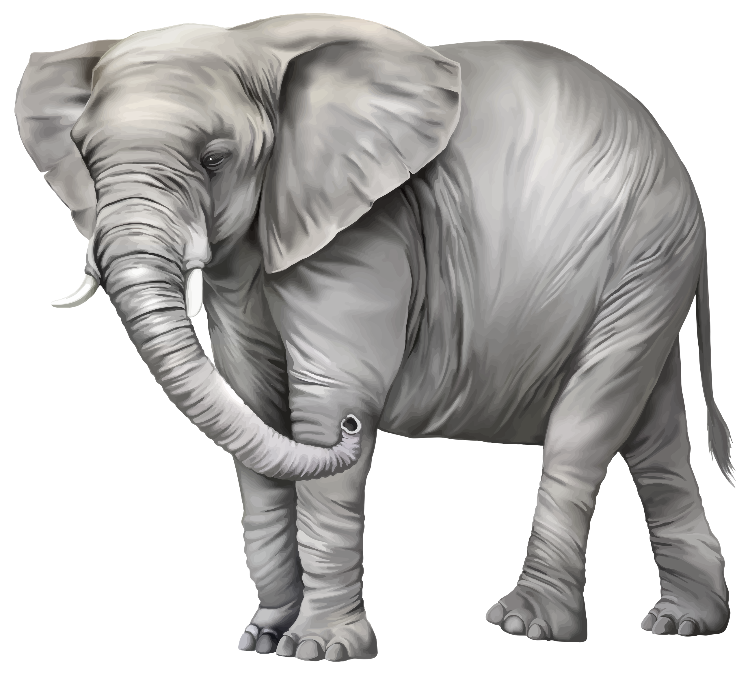 Elephant PNG Photos PNG, SVG Clip art for Web - Download Clip Art, PNG