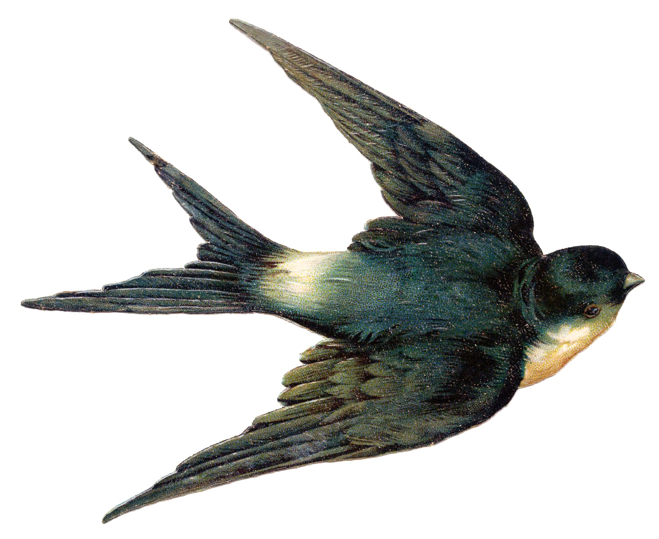 Fairy Bird PNG HD SVG Clip arts