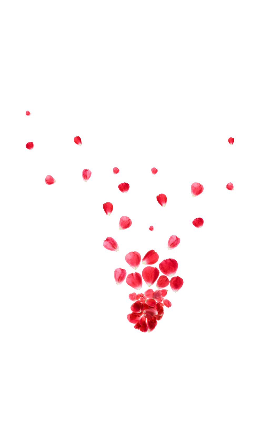 Falling Rose Petals Background PNG PNG, SVG Clip art for Web - Download