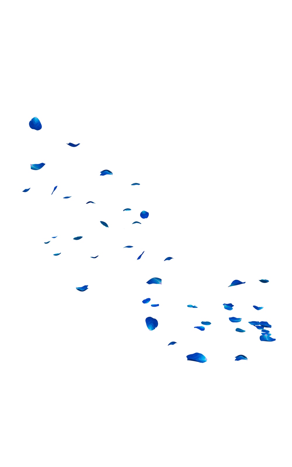 Falling Rose Petals Download PNG Image PNG, SVG Clip art for Web