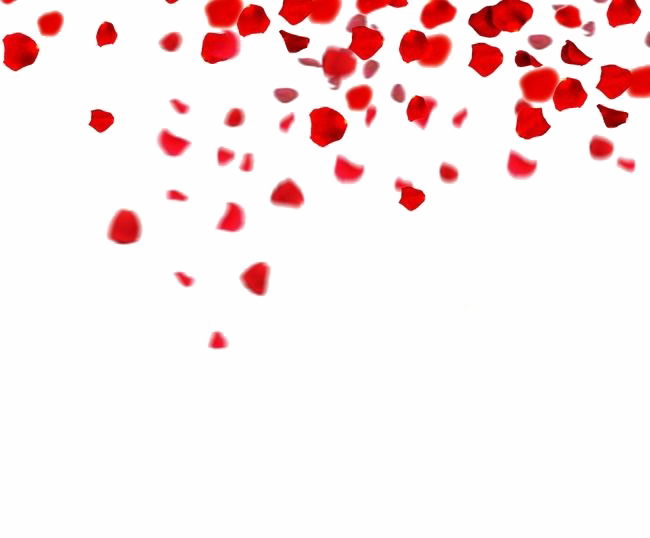 Falling Rose Petals Png Clipart Png Svg Clip Art For Web Download Clip Art Png Icon Arts