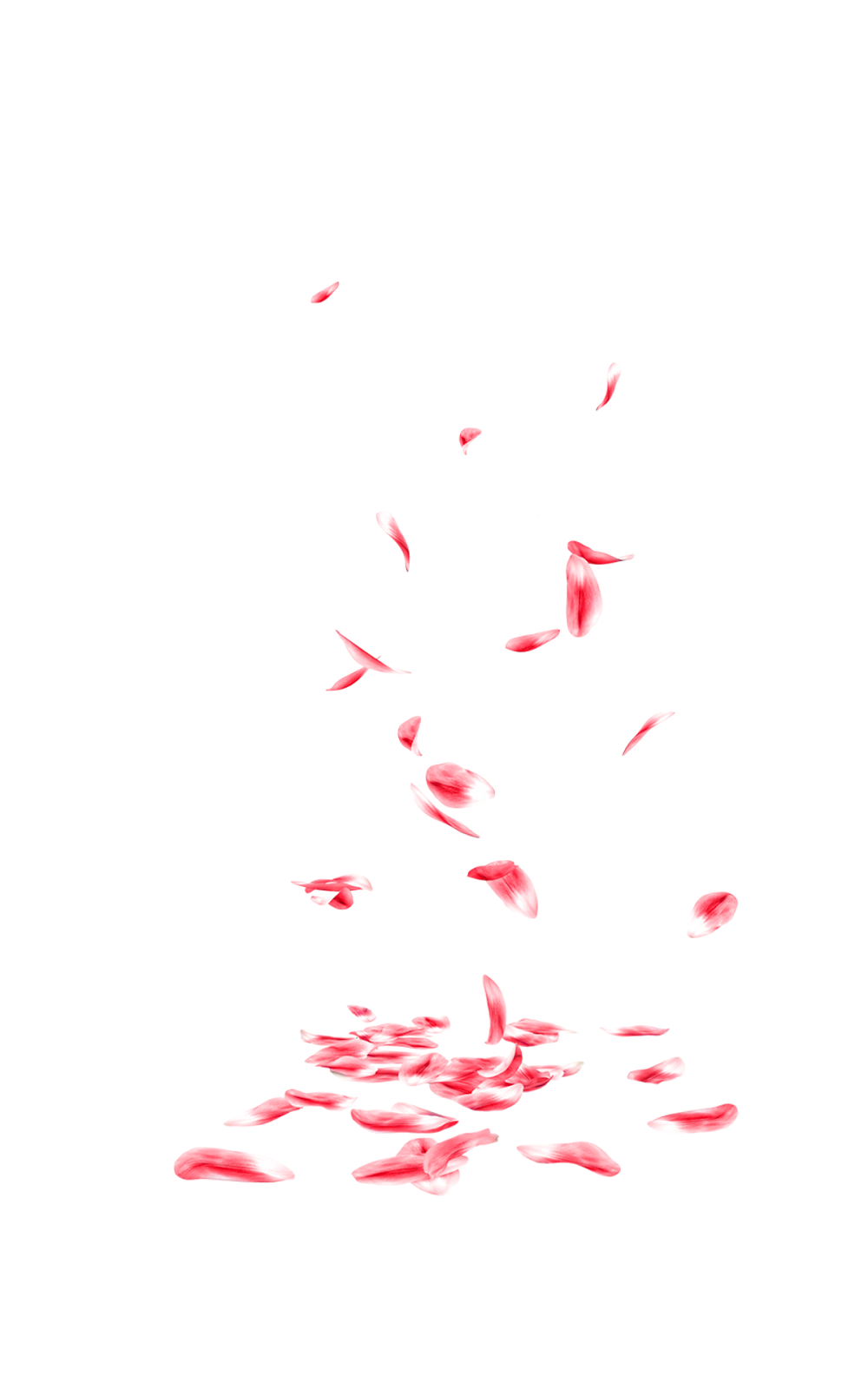 Falling Rose Petals PNG Transparent SVG Clip arts