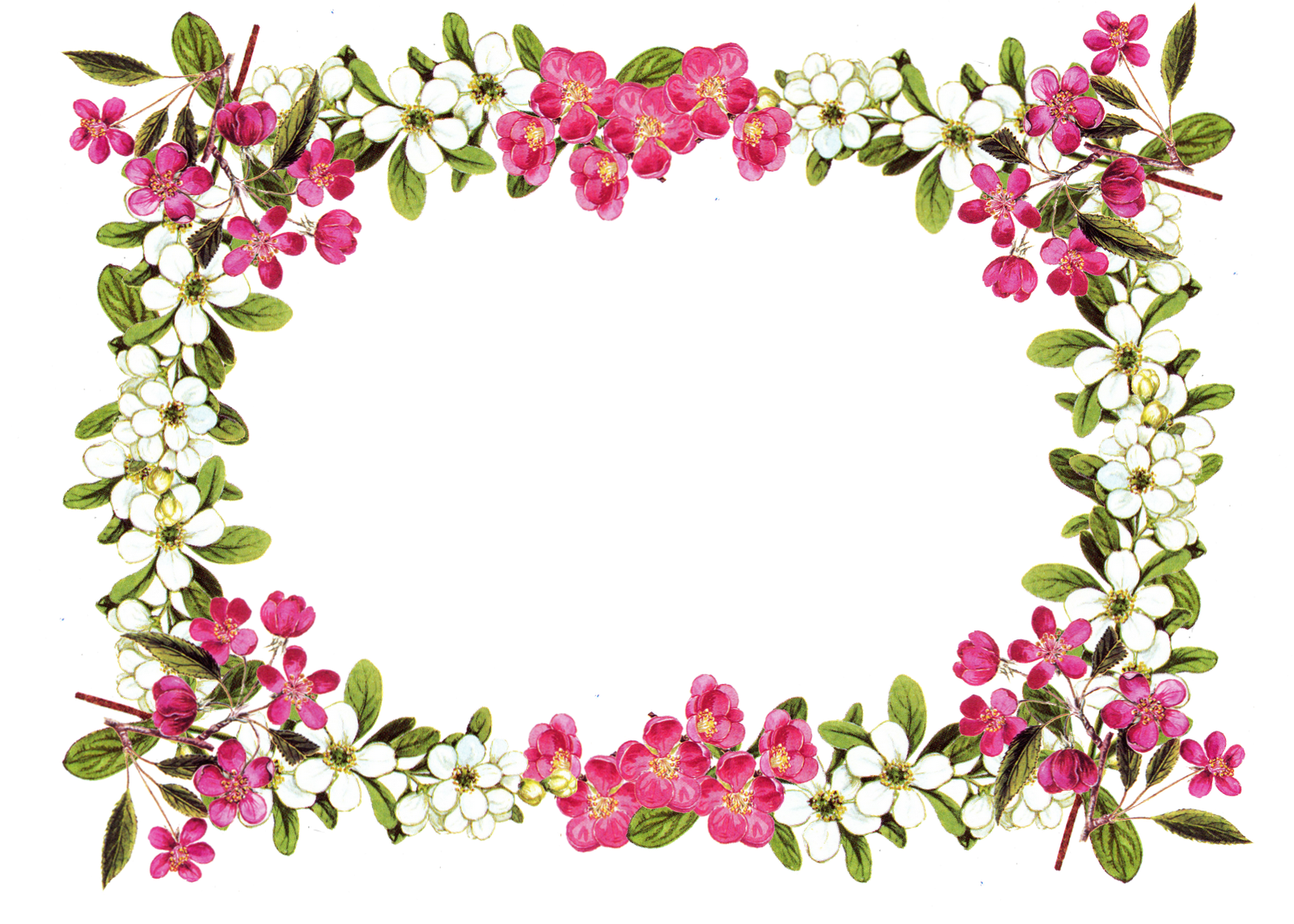 Floral Frame PNG Image SVG Clip arts