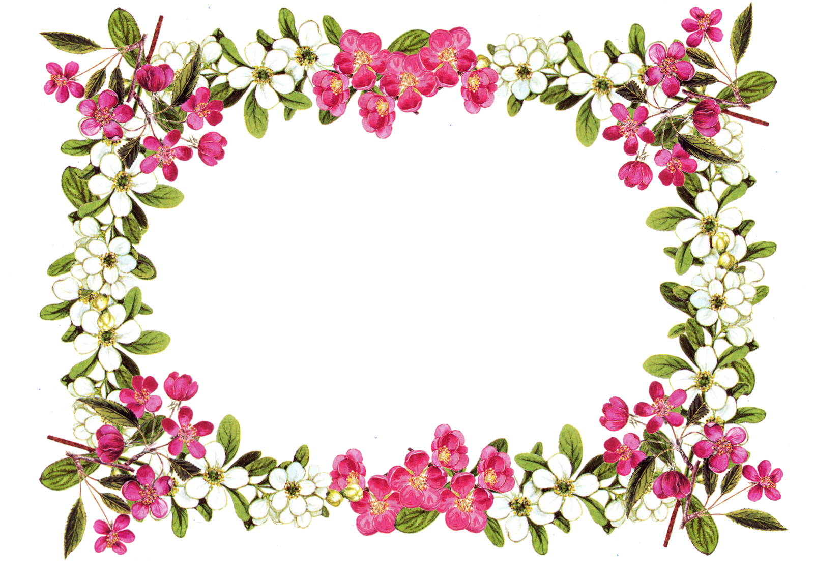 Download Floral Frame Png Image Png Svg Clip Art For Web Download Clip Art Png Icon Arts