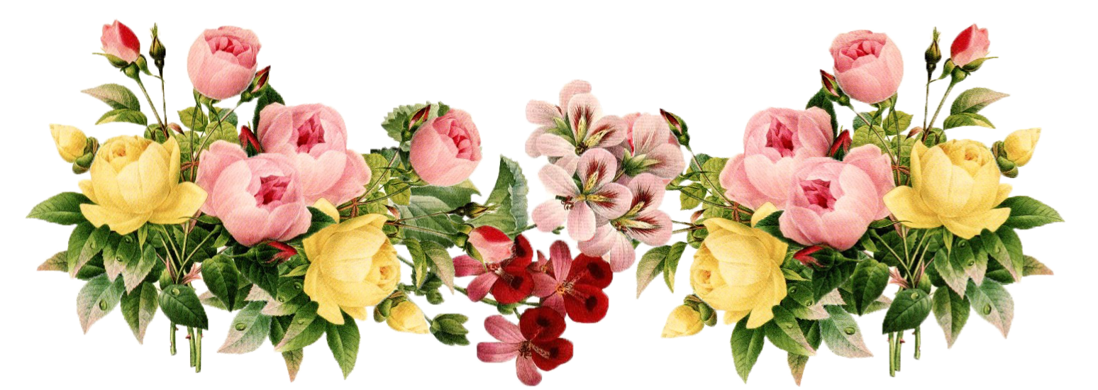 Floral PNG Transparent Picture SVG Clip arts