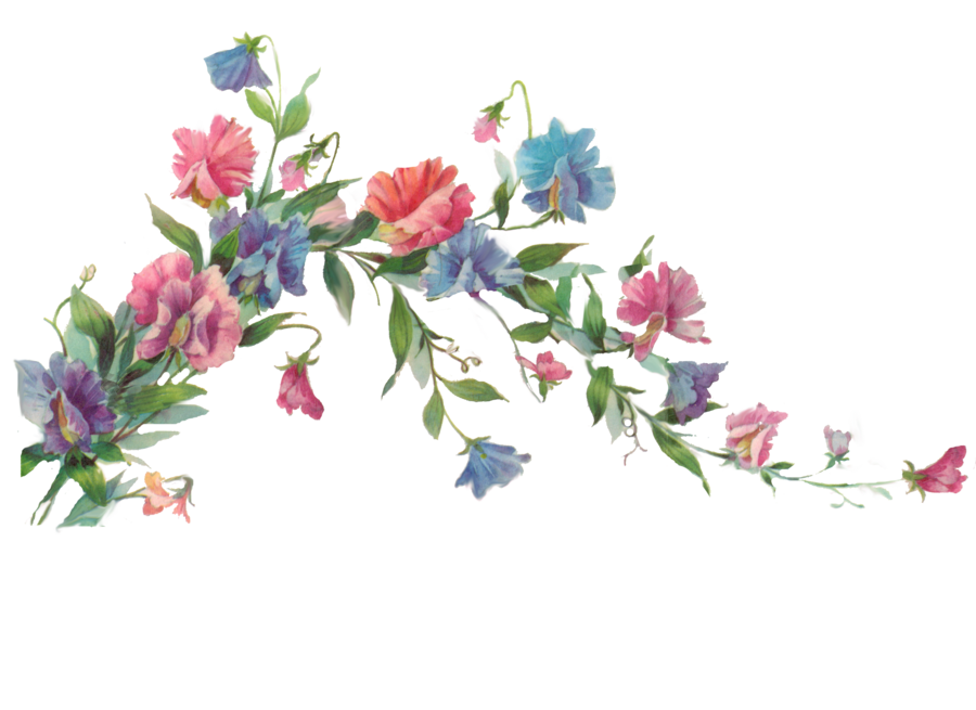 Floral Transparent PNG SVG Clip arts