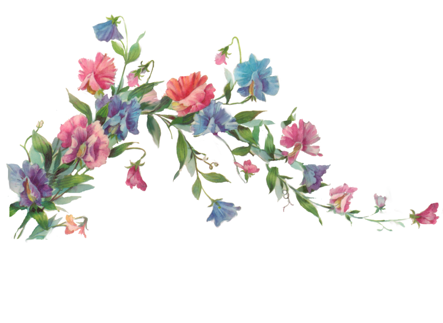 Floral Transparent PNG PNG, SVG Clip art for Web - Download Clip Art, PNG  Icon Arts