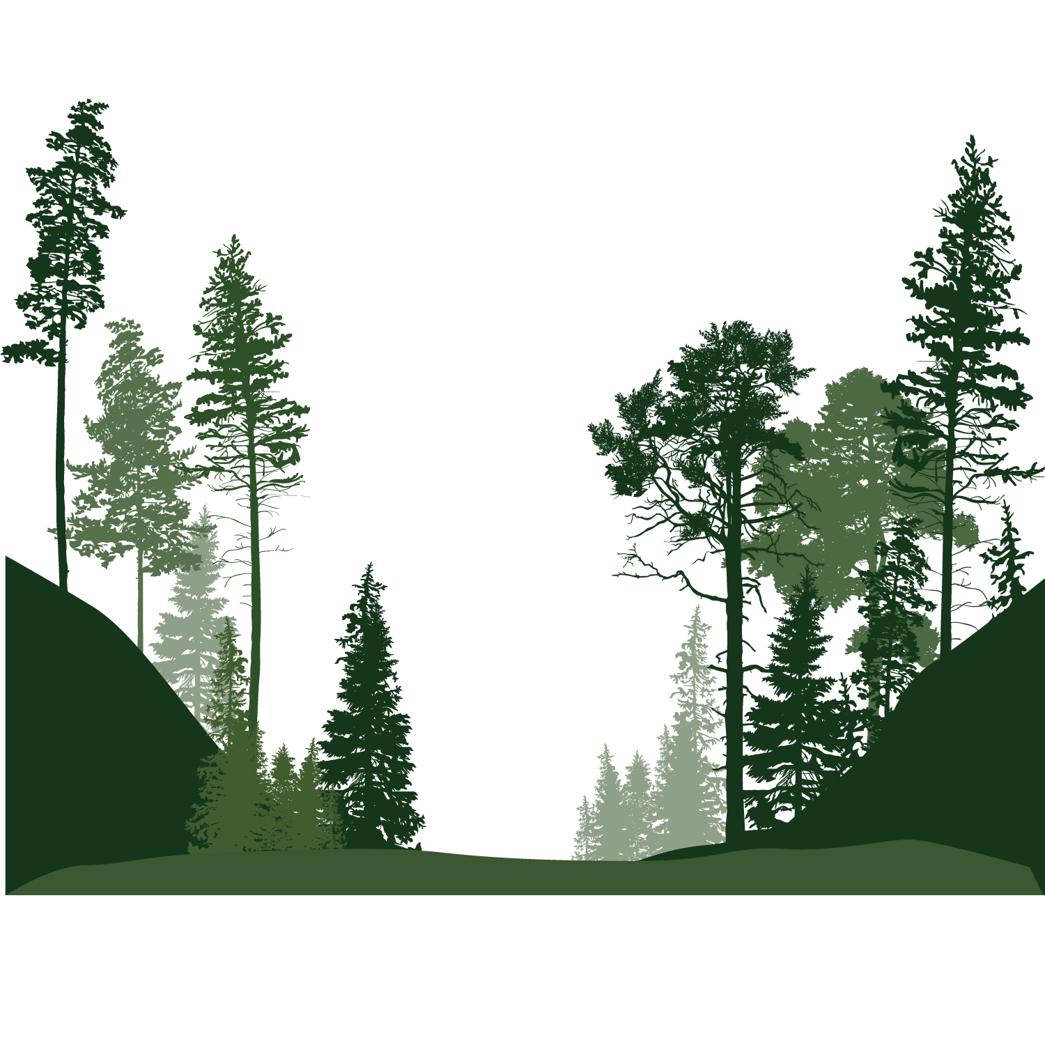Forest PNG Download Image PNG, SVG Clip art for Web Download Clip Art