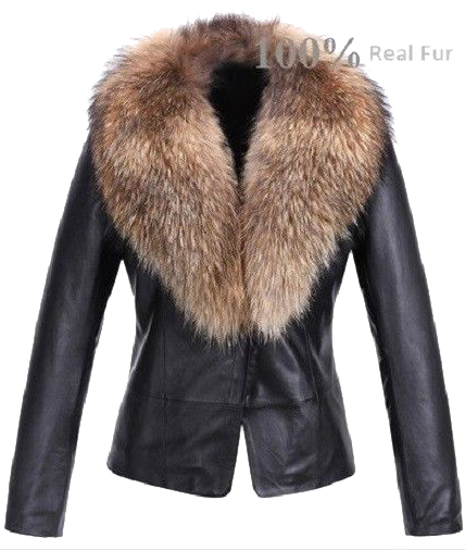 Fur Lined Leather Jacket PNG Photos SVG Clip arts