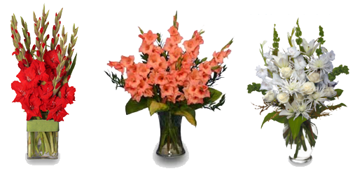 Gladiolus PNG Image PNG, SVG Clip art for Web Download