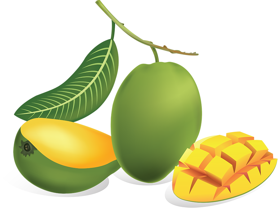 Green Mango PNG PNG, SVG Clip art for  Download Clip Art, PNG Icon