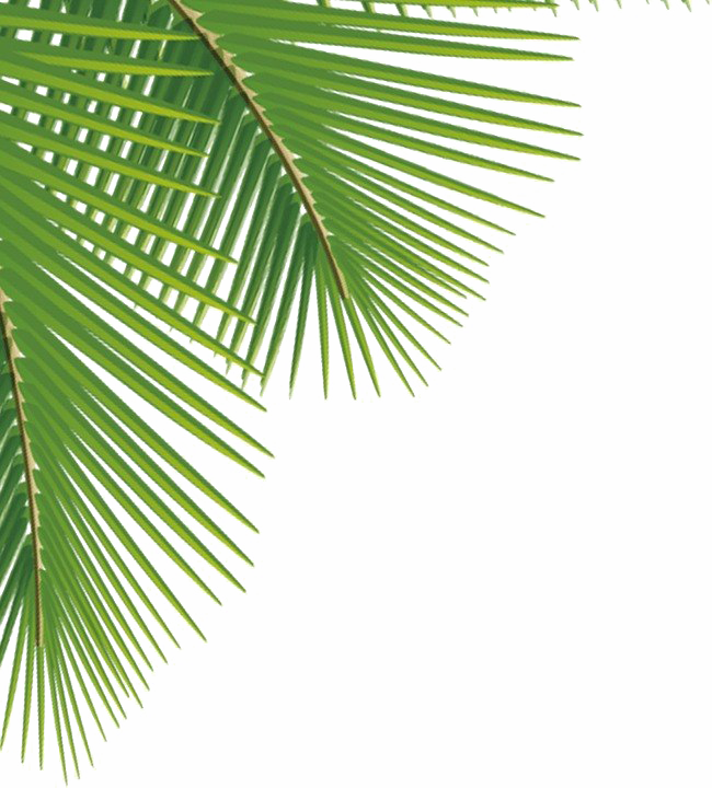 Green Palm Leaves Png Image Png Svg Clip Art For Web Download Clip