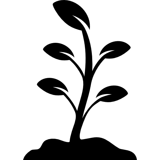 Growing Plant PNG File SVG Clip arts