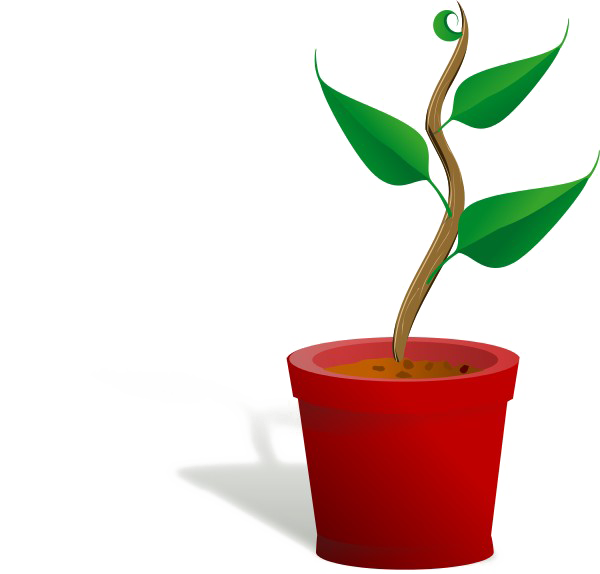 Growing Plant PNG Free Download SVG file