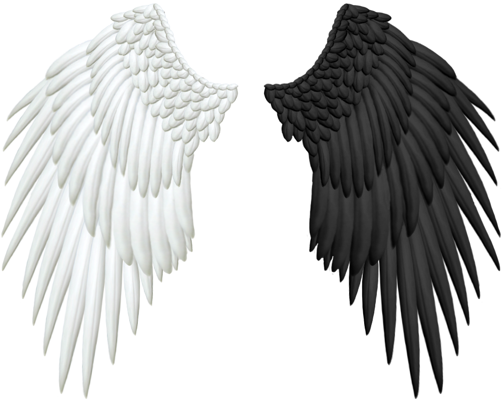 Half Wings PNG Transparent SVG Clip arts