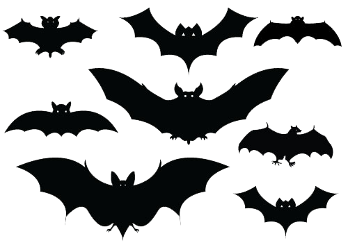 Halloween Bat PNG Picture PNG, SVG Clip art for Web - Download Clip Art