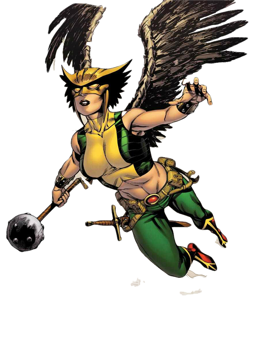 dc superhero hawkgirl doll 12 inch