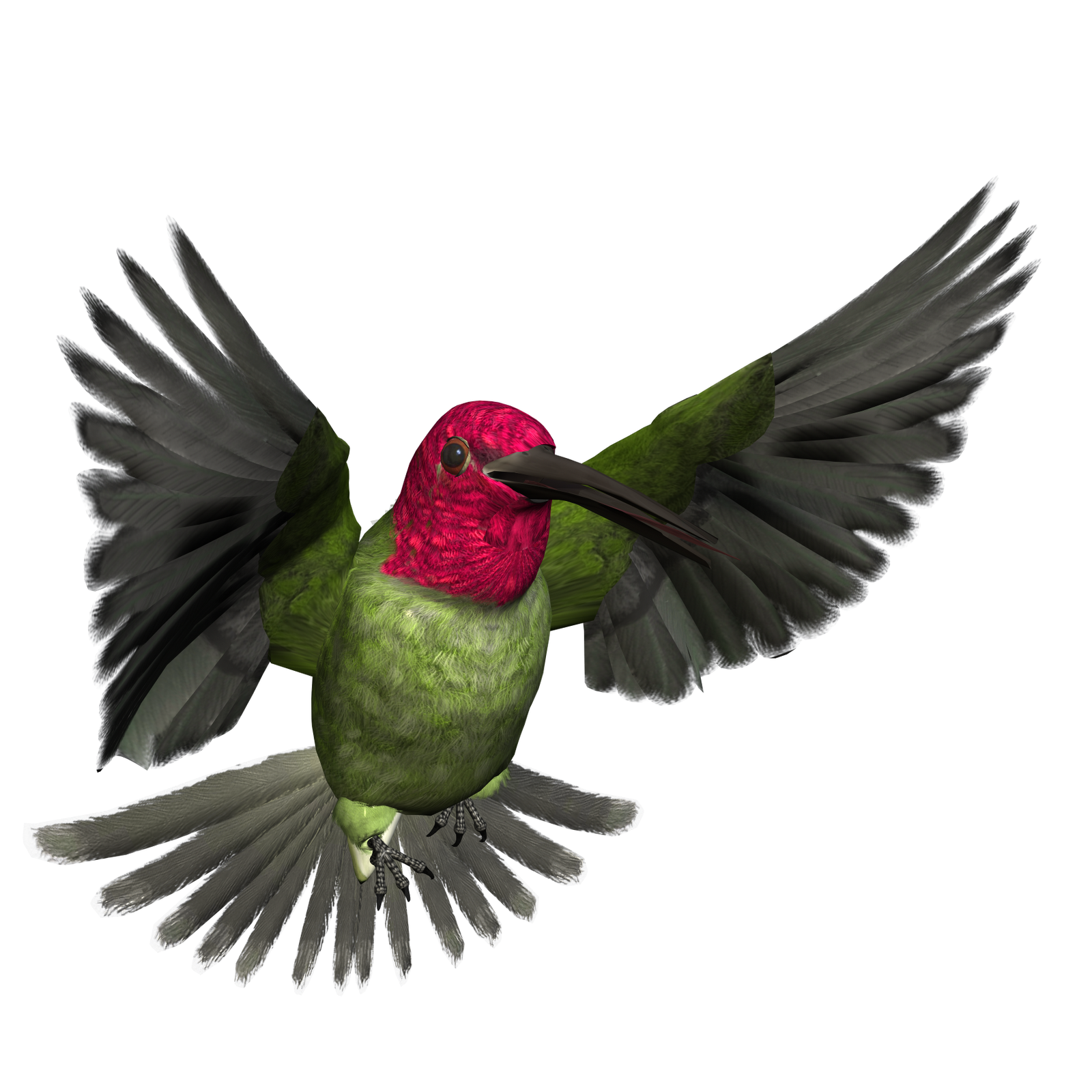 Hummingbird PNG Pic SVG Clip arts
