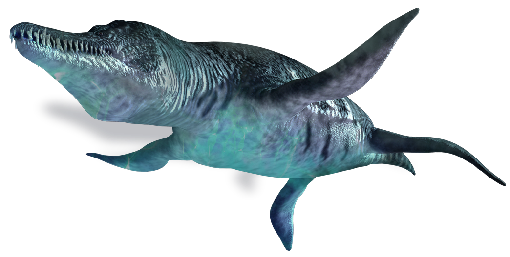 Ichthyosaur PNG Photo SVG Clip arts