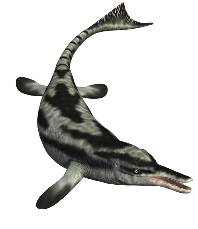 Ichthyosaur PNG Photos SVG Clip arts