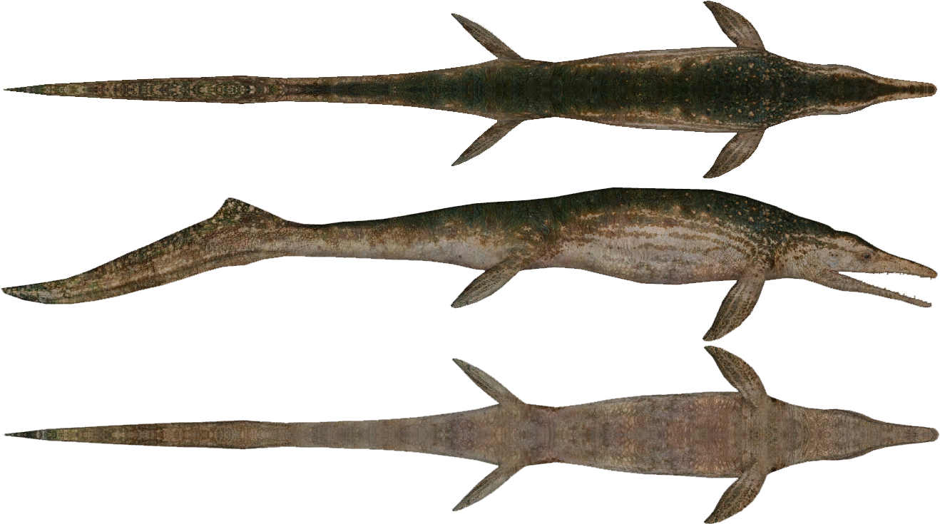 Ichthyosaur Transparent PNG SVG Clip arts