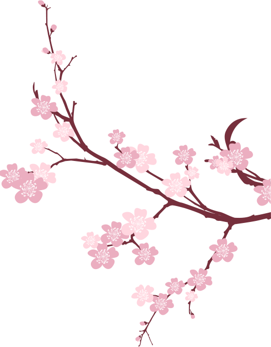 Japanese Flowering Cherry PNG Picture SVG Clip arts