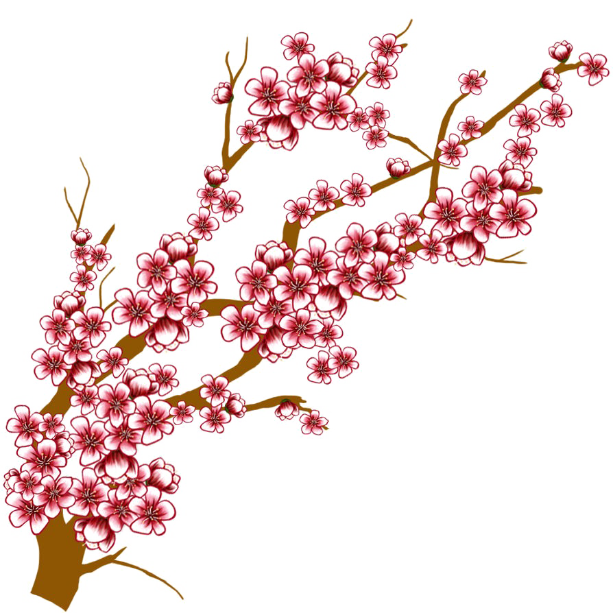Japanese Flowering Cherry Transparent Background SVG Clip arts
