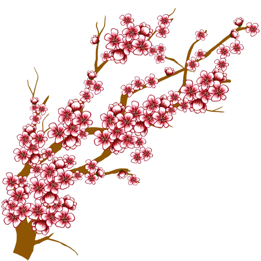 Download Japanese Flowering Cherry Transparent Background PNG, SVG ...