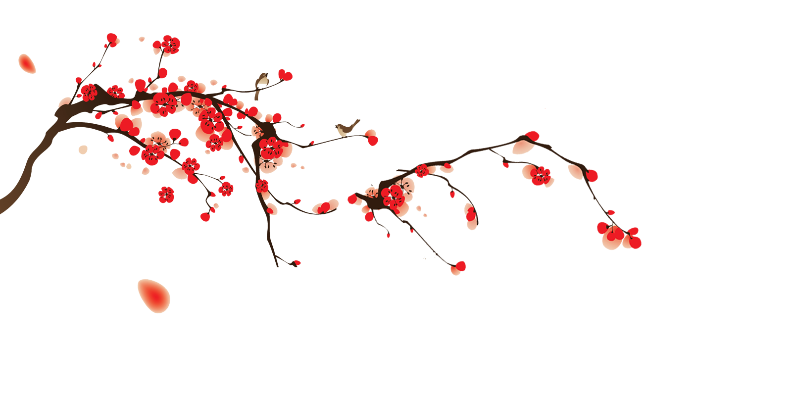 Japanese Flowering Cherry Transparent Images PNG SVG Clip arts