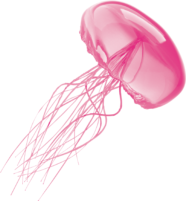 Download Jellyfish Transparent Background PNG, SVG Clip art for Web ...