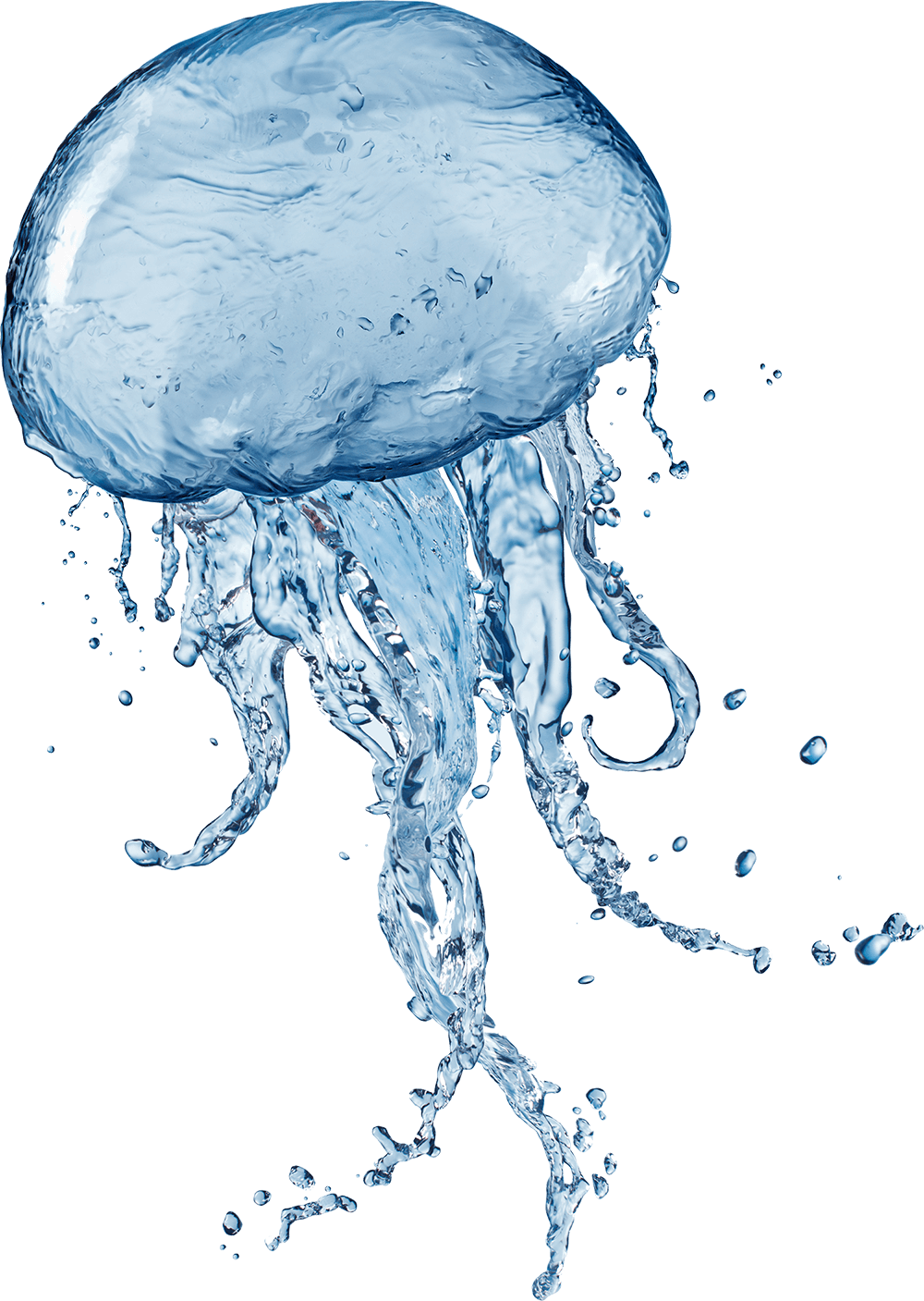 Free Free 186 Outline Cute Jellyfish Svg Jellyfish Clipart SVG PNG EPS DXF File