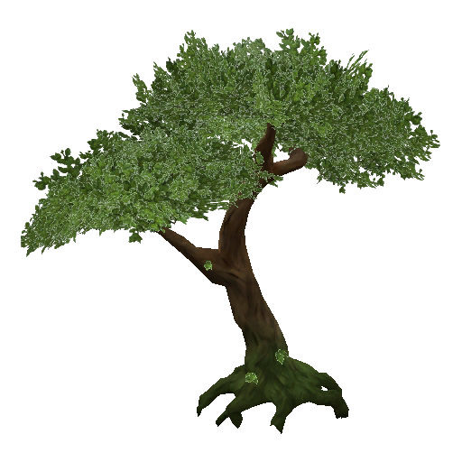 Download Jungle Tree PNG Transparent PNG, SVG Clip art for Web - Download Clip Art, PNG Icon Arts