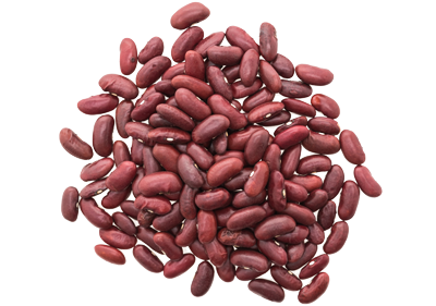 Kidney Beans PNG Clipart SVG Clip arts