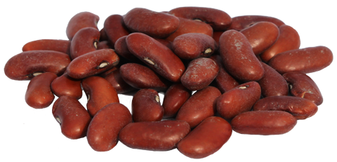 Kidney Beans Transparent PNG PNG, SVG Clip art for Web - Download Clip