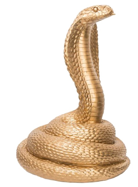 Download King Cobra Png Photo Png Svg Clip Art For Web Download Clip Art Png Icon Arts