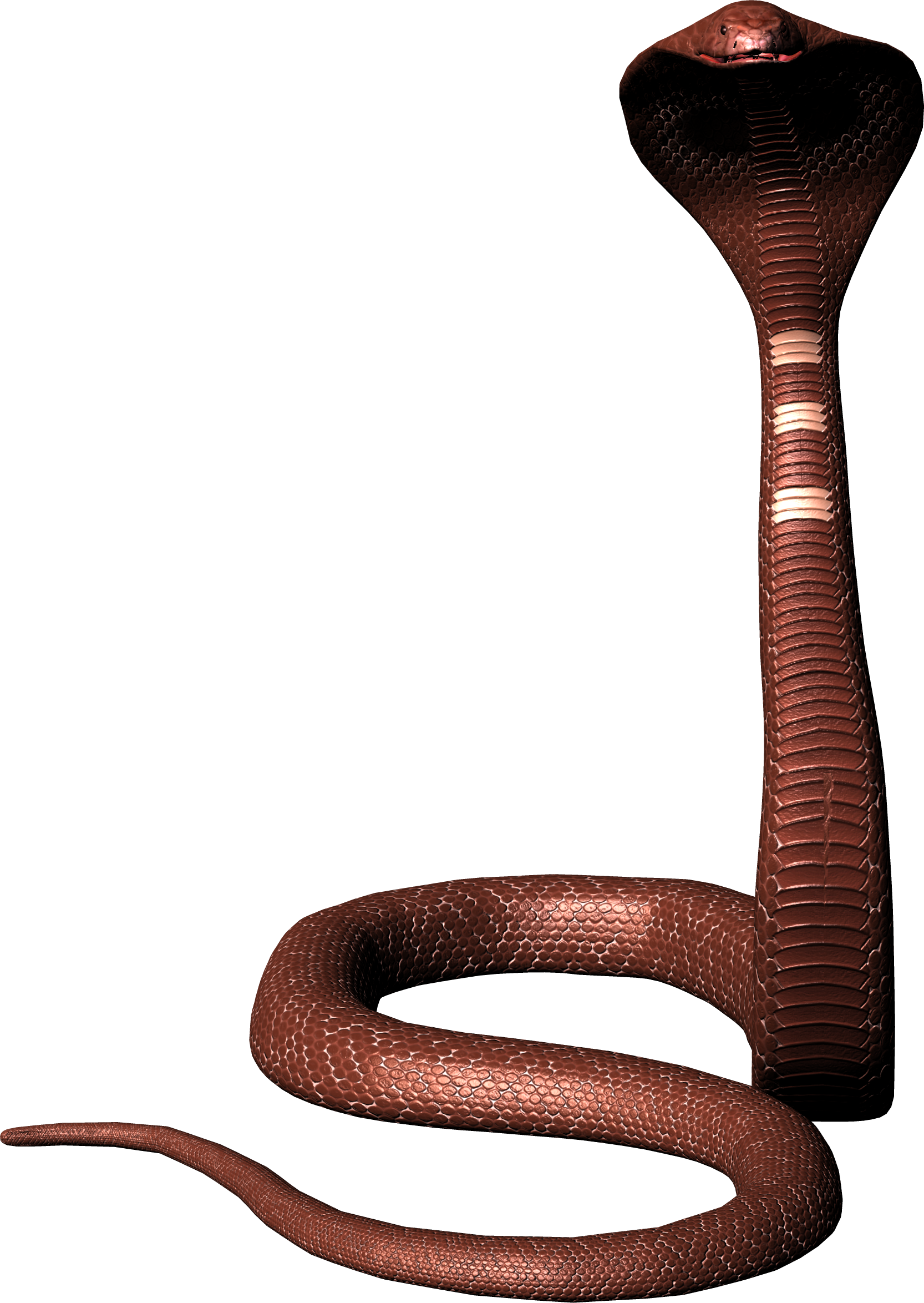Free Free King Cobra Svg 597 SVG PNG EPS DXF File