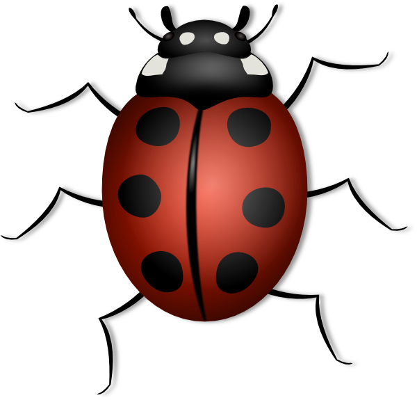 Ladybird PNG Transparent SVG Clip arts