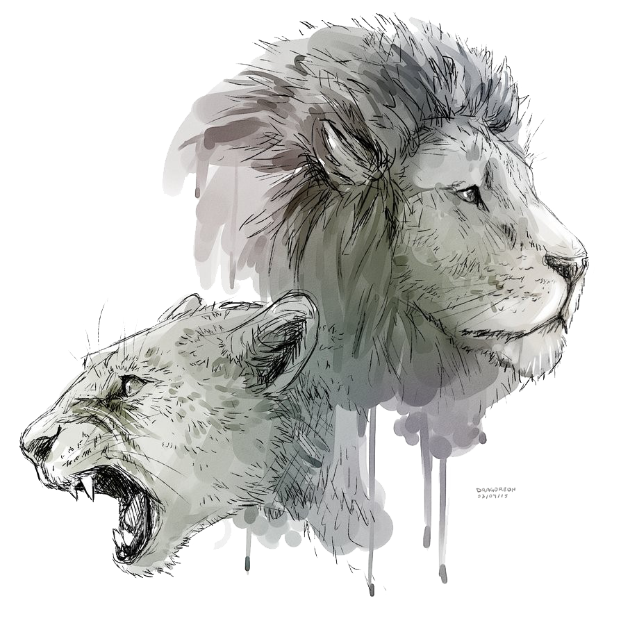 Lioness Roar Transparent Background SVG Clip arts