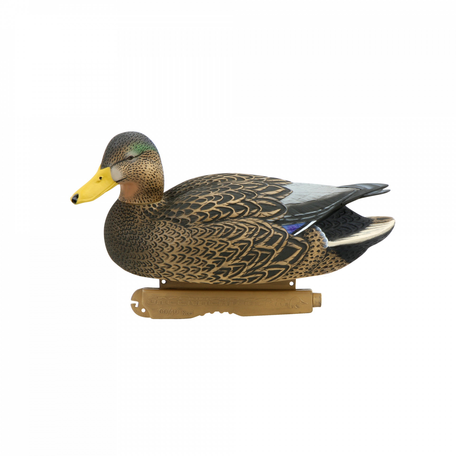 Mallard PNG Image PNG, SVG Clip art for Web - Download Clip Art, PNG