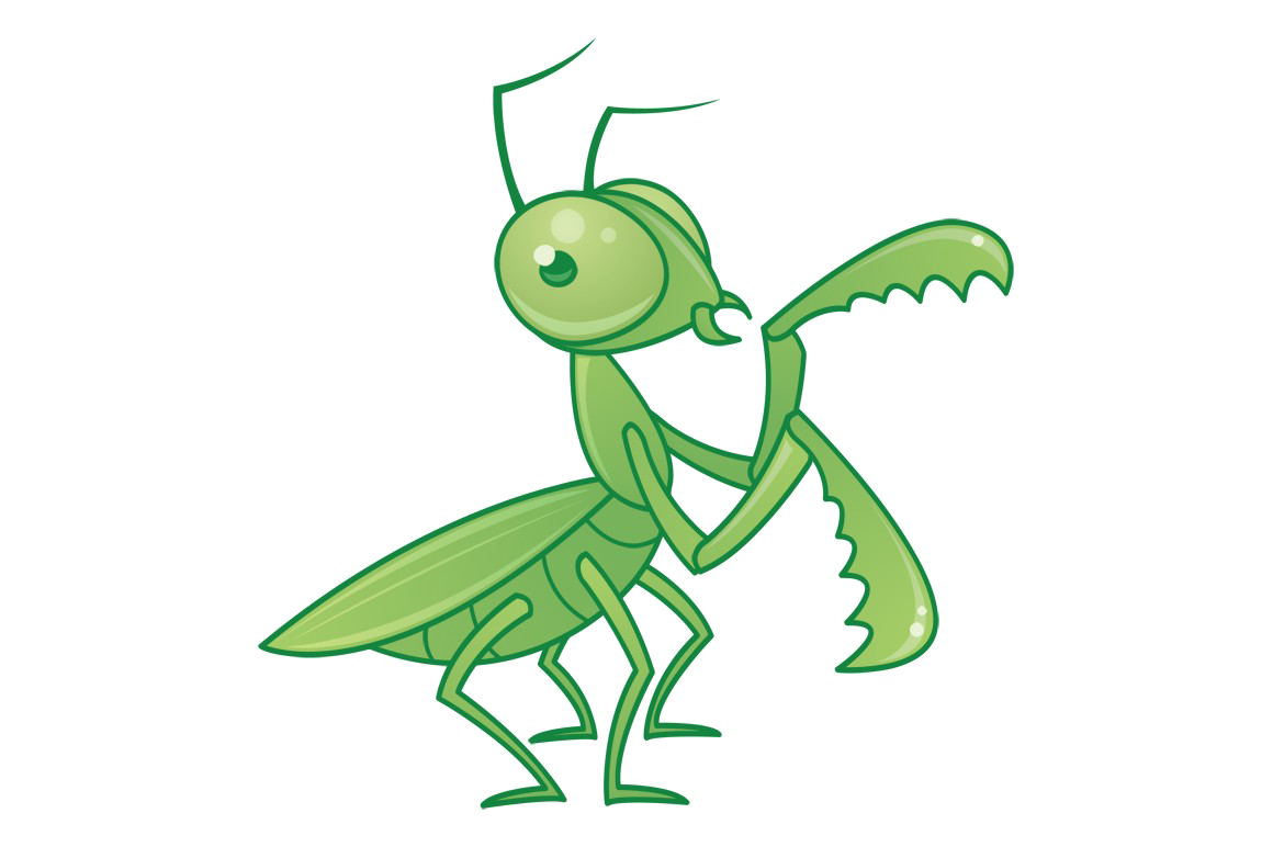 Mantis Transparent PNG PNG, SVG Clip art for Web - Download Clip Art